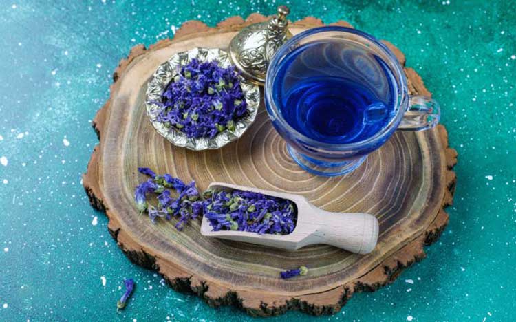طرز تهیه دمنوش گل گاوزبان