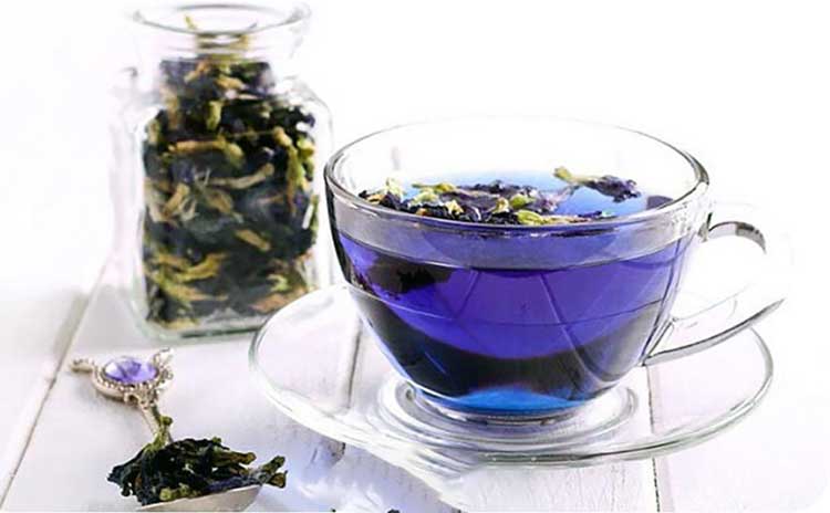 گل گاوزبان