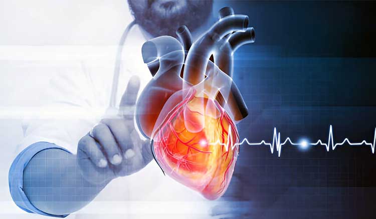 بیماری قلبی